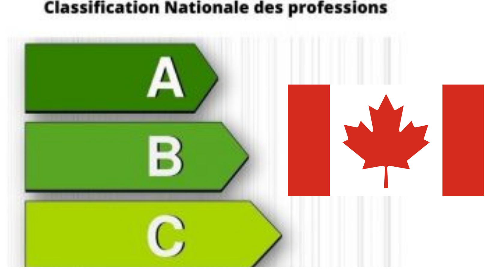 Comprendre la Classification Nationale des Professions (CNP)