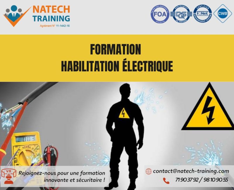 Formation_habilitation_électrique_Natech_Training